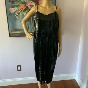 Express XL Dress